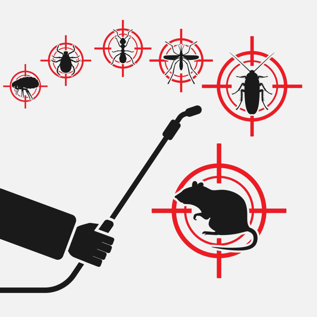 Rodent Pest Control Sydney - Max Force Pest Control Sydney