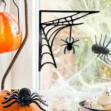Spider Control in Australia: How to Keep Your Home Safe
