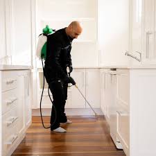 DIY Pest Control Tips: 12 Easy Ways to Keep Your Home Pest-Free