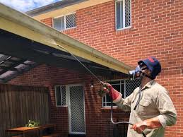 Pest Control in Australia: Everything You Need to Know to Protect Your Home