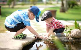Ultimate Pest Control Guide: Tips, Treatments & Expert Advice for Sydney Homes